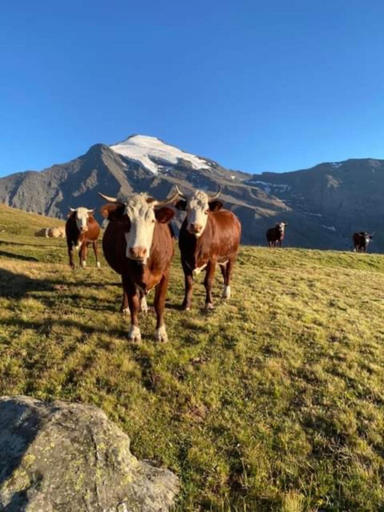 "L'Ancolie" Appartement De Charme 4 Personnes A Val Cenis Termignon Exteriér fotografie